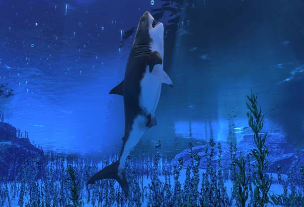 istock Great white shark swimming underwater 3d illustration 940455562