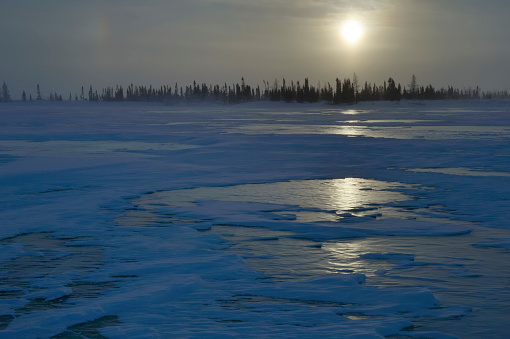 Tundra congelada photo