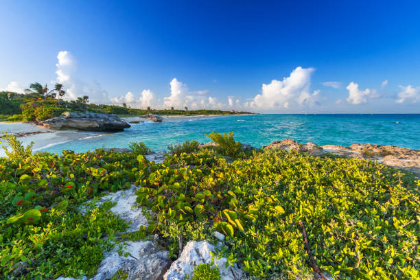 Beach at Caribbean sea in Playa del Carmen, Mexico