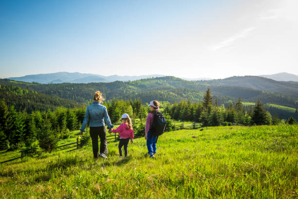 istock Family in green summer meadow 940463318