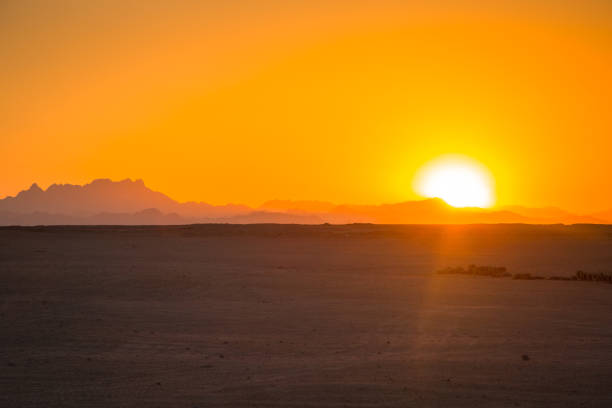 Sunset in the desert