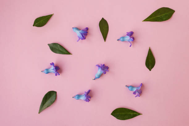 istock flowers on pink background, free space for your text 940465882