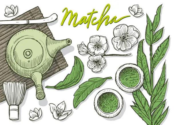 Vector illustration of Green tea Matecha Japanese Tea Doodles