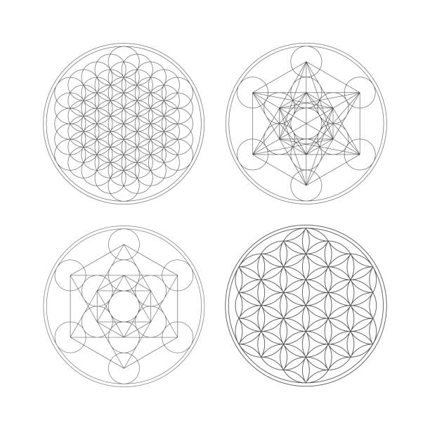 ilustrações de stock, clip art, desenhos animados e ícones de metatrons cube and flower of life. - flower of life