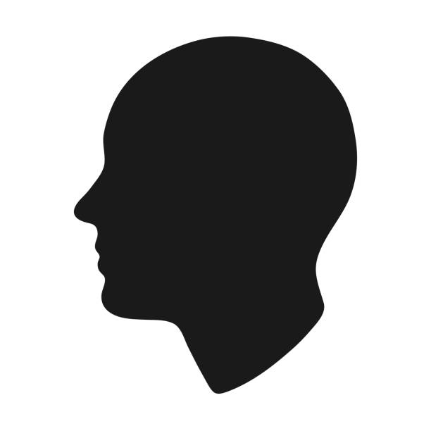 kopf silhouette. - menschlicher kopf stock-grafiken, -clipart, -cartoons und -symbole