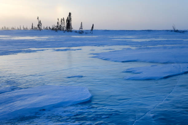 frozen tundra - arctic canada landscape manitoba imagens e fotografias de stock