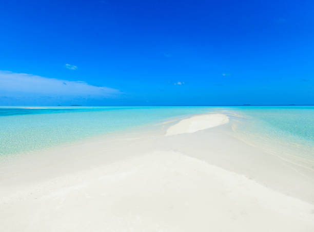 istock tropical beach in Maldives 940497470