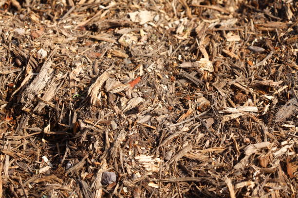istock Wood shavings, wood chips, bark mulch, flooring 940509446