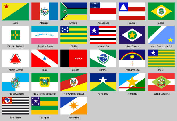 ブラジル合衆国の国旗 - para state illustrations点のイラスト素材／クリップアート素材／マンガ素材／アイコン素材