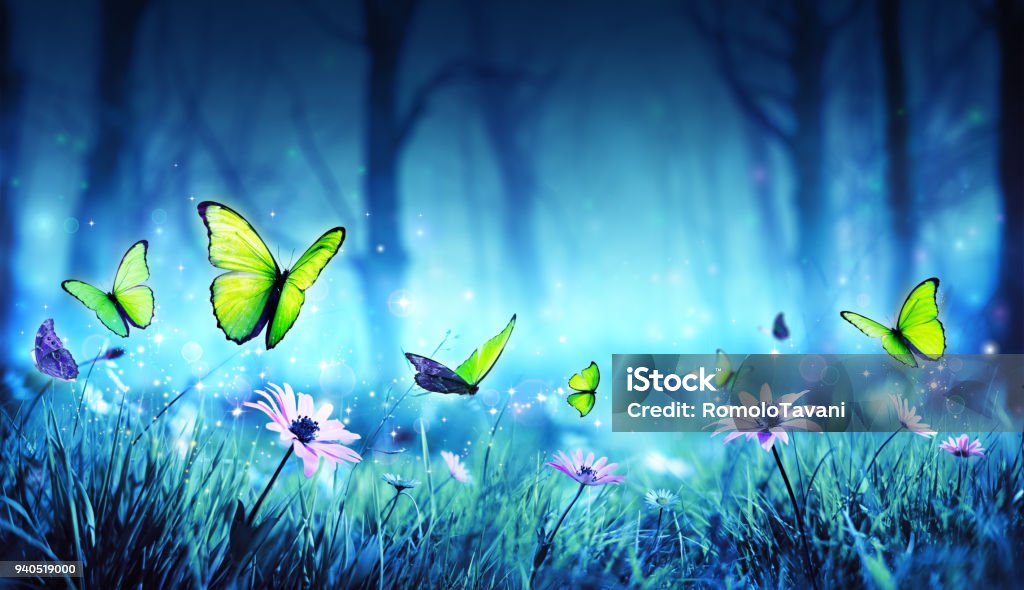 Mariposas hadas en el bosque místico - Foto de stock de Mariposa - Lepidópteros libre de derechos