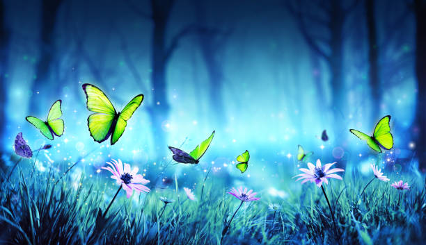 istock Fairy Butterflies In Mystic Forest 940519000