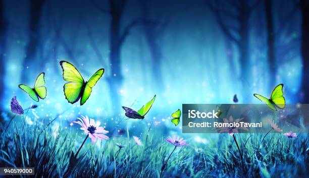 Fairy Butterflies In Mystic Forest Stock Photo - Download Image Now - Butterfly - Insect, Fantasy, Ethereal