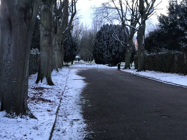 istock Road with snow and trees on sideline 940519412
