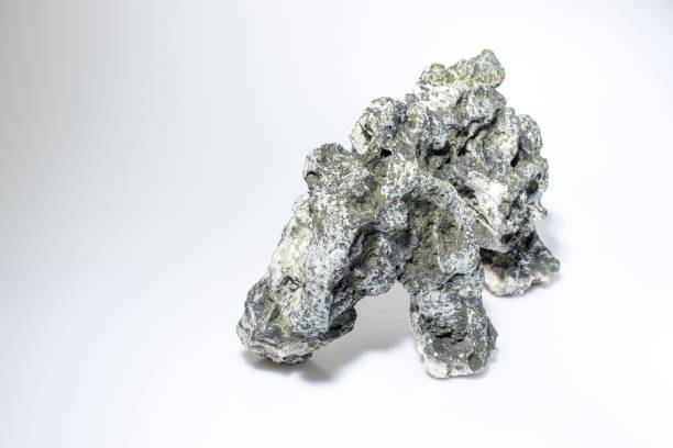 aquarium accessories rock in a white background composition
