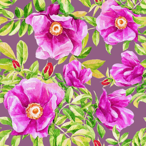 stockillustraties, clipart, cartoons en iconen met aquarel herhalend patroon van bloemen van de wilde roos. - boubou
