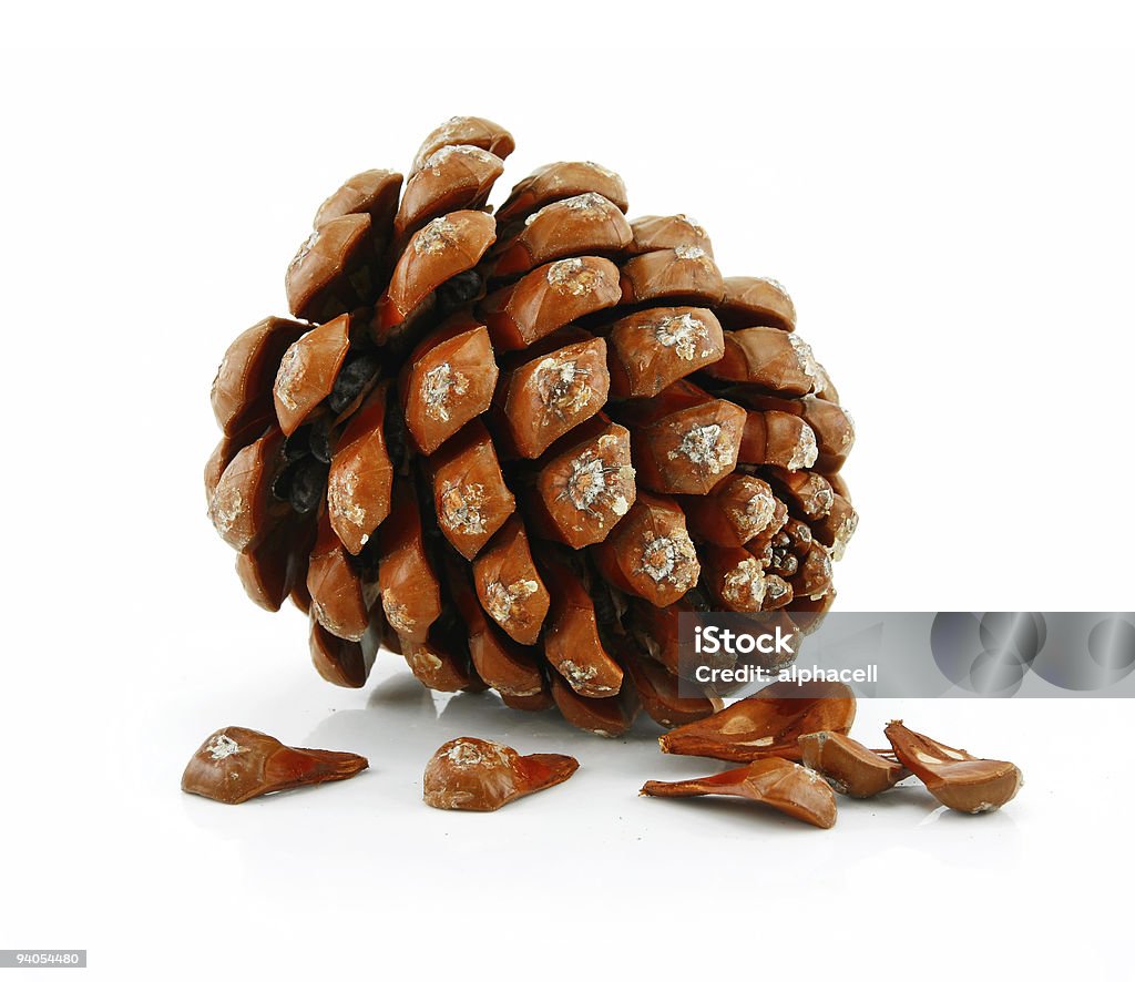 Nuts and Cone of Siberian Pine Isolated on White  Botany Stock Photo