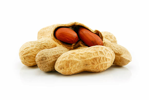 istock Ripe Dried Peanut Isolated on White 94054612