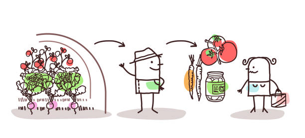 ilustrações de stock, clip art, desenhos animados e ícones de cartoon farmer production and direct consumer - greenhouse industry tomato agriculture