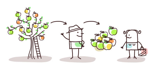 Cartoon Farmer Apples Production And Direct Consumer Stock Illustration - Download Image Now - iStock Cartoon Farmer Apples Production And Direct Consumer Stock Illustration - Download Image Now - iStock