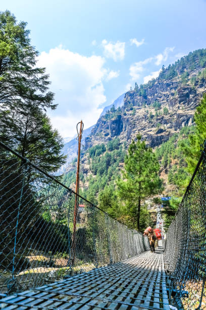 istock Trekking to Everest Base Camp in Nepal. 940573770