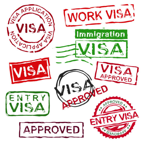 ilustraciones, imágenes clip art, dibujos animados e iconos de stock de sellos de visa de goma grunge - passport computer graphic digitally generated image white background