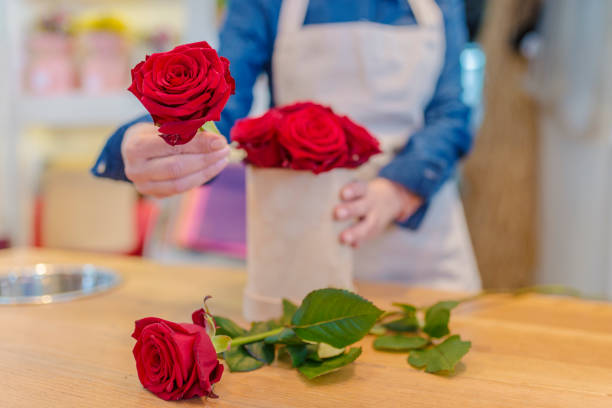 istock Flowers brighten up the world 940577710