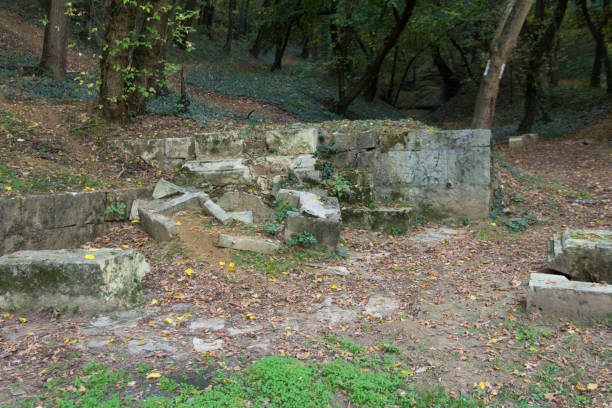 istock Old ruins in the woods 940582282
