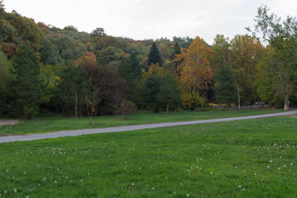 istock Rural road between the meadow and the forest 940582288