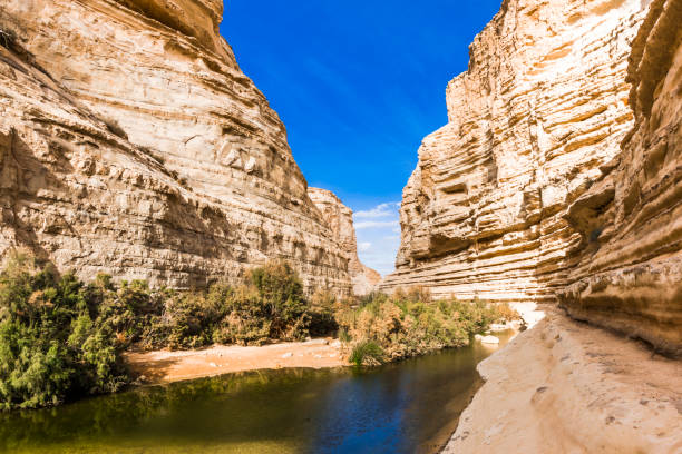 istock Evening in the gorge of Ein Avdat in the Negev desert 940586574