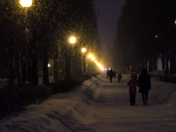istock Winter.Snowfall in the city. 940590504