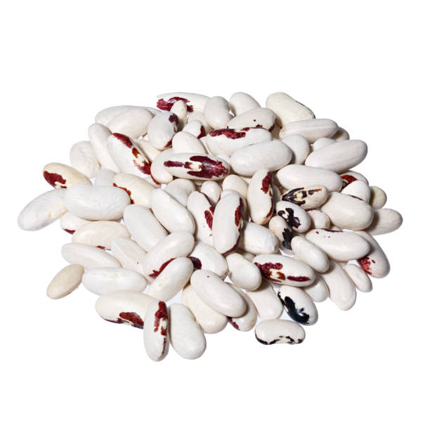 istock Pile Great Northern Beans isolated on white background. Also cal 940590714