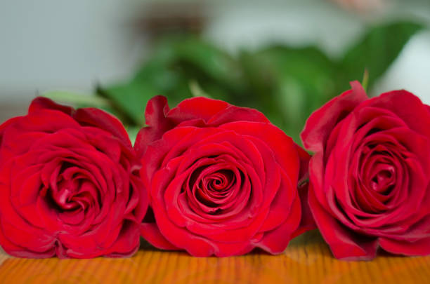 istock flowers of red roses 940595658