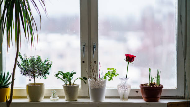 istock wedding decorations theme, flowers in white interior and old window frame 940602574