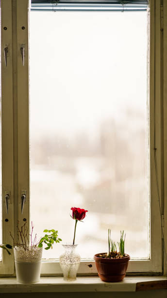 istock wedding decorations theme, flowers in white interior and old window frame 940602576