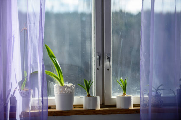istock wedding decorations theme, flowers in white interior and old window frame 940602714