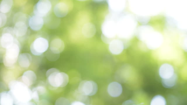 Background with beautiful green bokeh circles