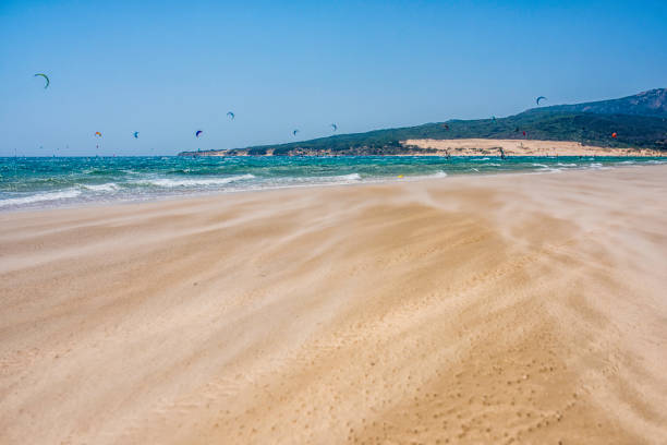 Large group of kitesurfers at sea Distant shot of a large group of kiteboarders on the sea, copy space. tarifa stock pictures, royalty-free photos & images