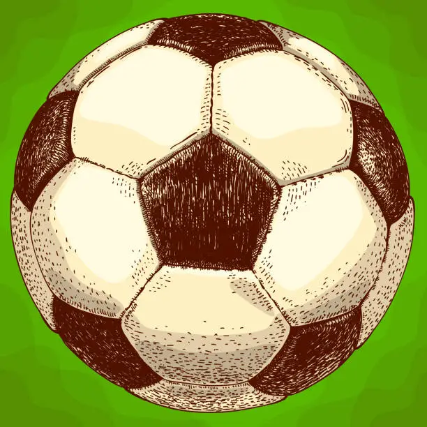 Vector illustration of engraving  illustration of football ball