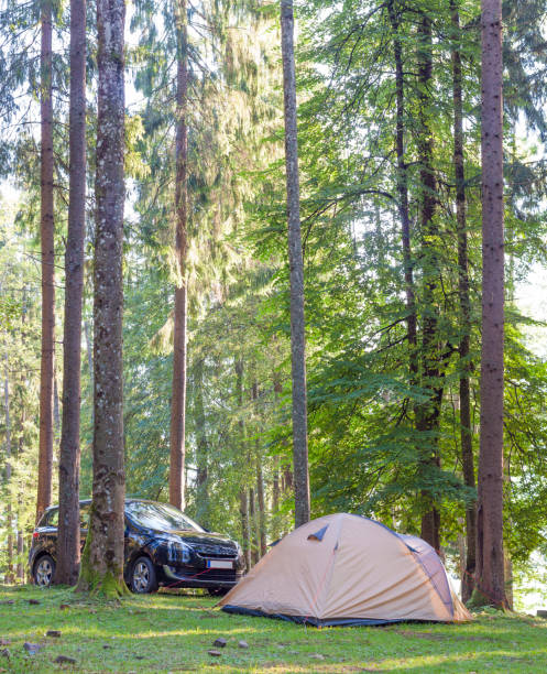 istock Camping tent and a car in green forest 940681192