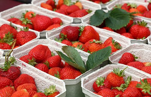 Close up red ripe fresh strawberry with green leaves in white cardboard paper crates on retail display of farmers market stall, high angle view