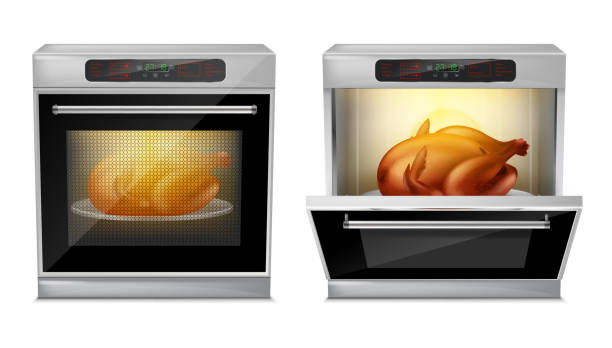 Vector realistic oven with turkey on plate inside Vector realistic oven with baked turkey on white plate inside, with open and close door isolated on background. Process of baking chicken in modern multifunction stove with touch menu and timer oven door stock illustrations