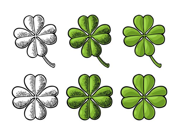 ilustrações de stock, clip art, desenhos animados e ícones de good luck four leaf clover. vintage vector color - four leaf clover clover luck leaf