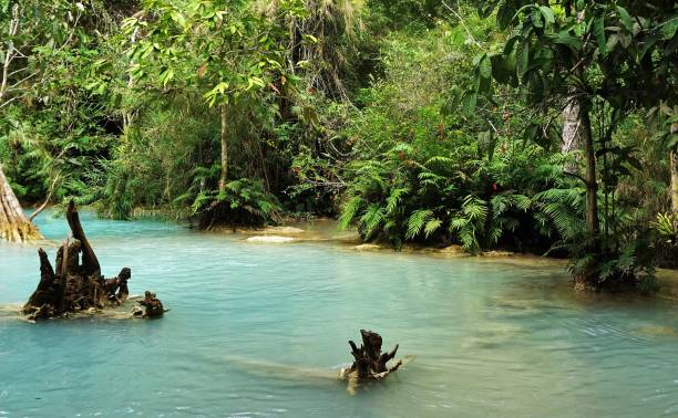 istock Big blue lagoon pool at the waterfall in Laos in the jungle 940706038