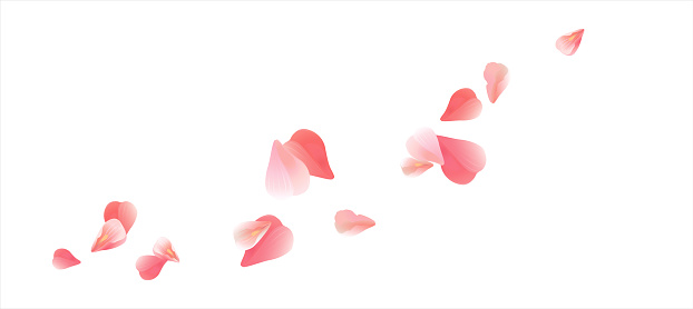 Pink flying petals isolated on White background. Petals in the form of heart. Horizontal. Vector EPS 10 cmyk