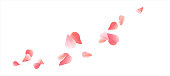 istock Pink flying petals isolated on White background. Petals in the form of heart. Vector 940712618