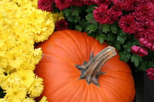 Multiple-colored Pumpkins including orange, yellow, white red and gray variations with chrysanthemum creates a vibrant Autumn display