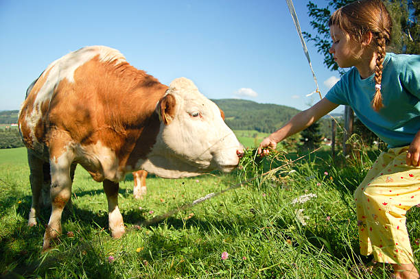 8,350 Girl Feeding Animal Stock Photos, Pictures & Royalty-Free Images - iStock 8,350 Girl Feeding Animal Stock Photos, Pictures & Royalty-Free Images - iStock