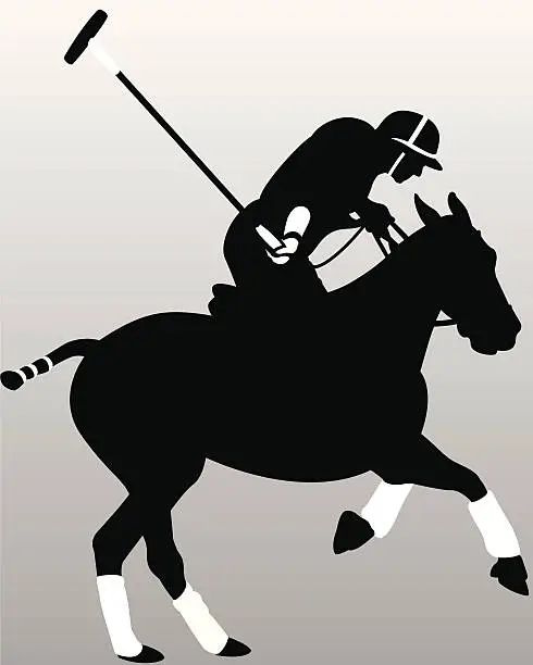 Vector illustration of Polo Player