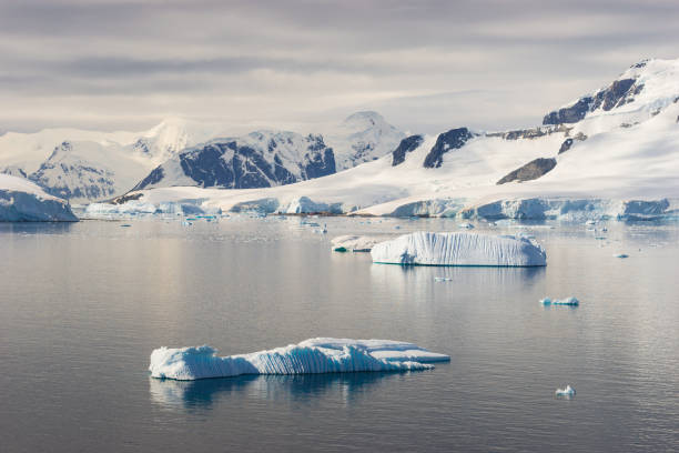 istock Icebergs in Paradise Bay, Antarctica 940716306
