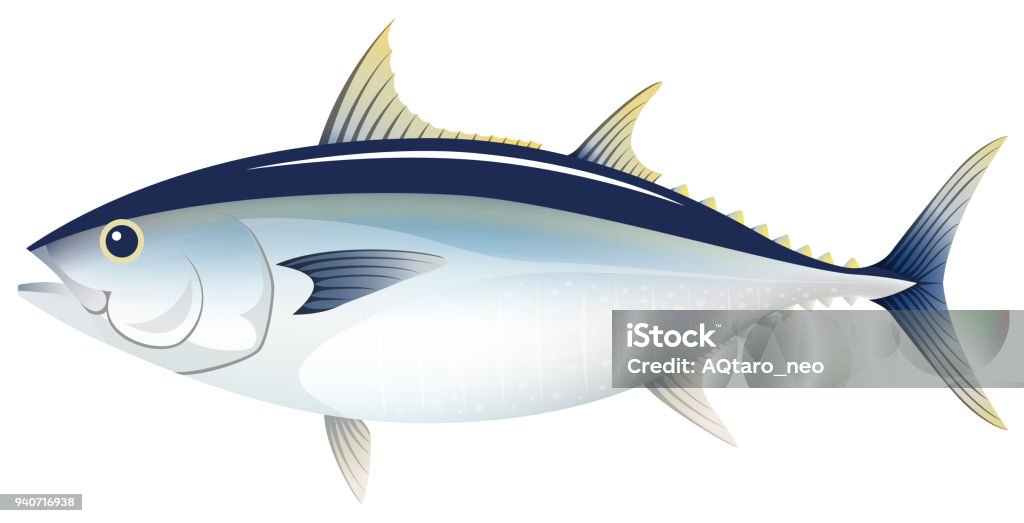 The bluefin tuna, isolated on the white background. sea life Tuna - Animal stock vector